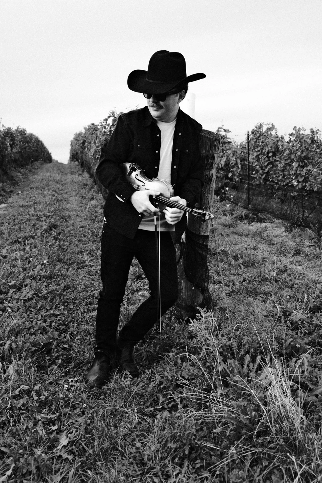 Liam with his fiddle in a vineyard